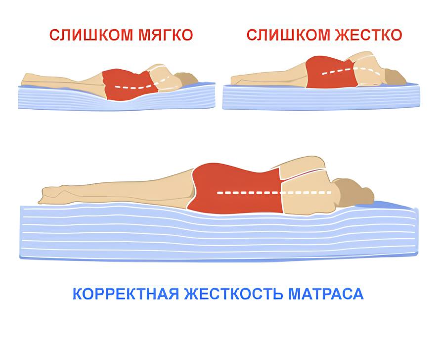 Односпальный матрас для взрослого: как найти баланс между комфортом и правильной поддержкой